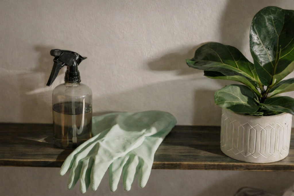 Office Cleaning Services for a Productive Work Environment